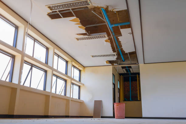 Best Local water damage restoration  in Ocean Springs, MS