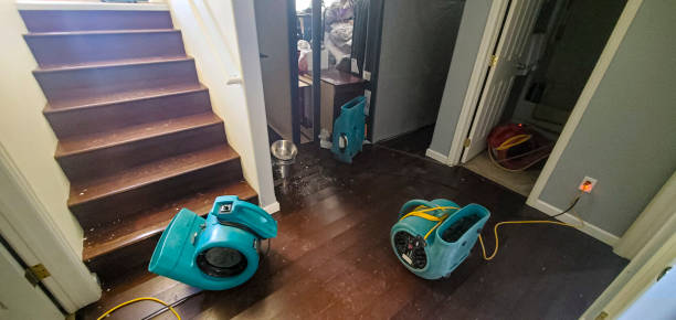 Best Commercial water damage restoration  in Ocean Springs, MS