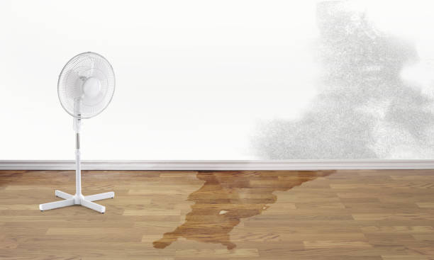Best Fire Damage Restoration  in Ocean Springs, MS