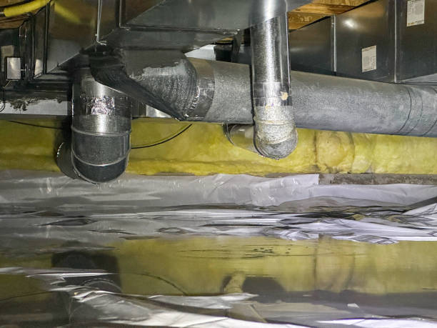 Best Professional water damage repair  in Ocean Springs, MS