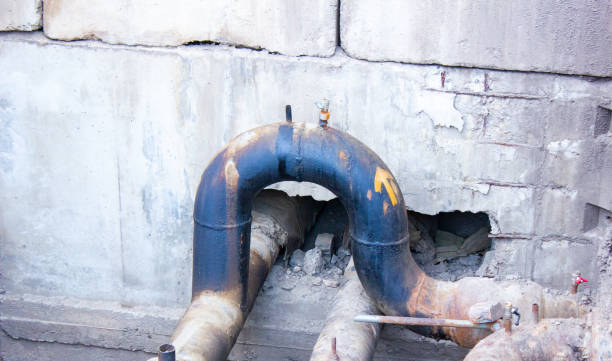 Best Flood restoration services  in Ocean Springs, MS